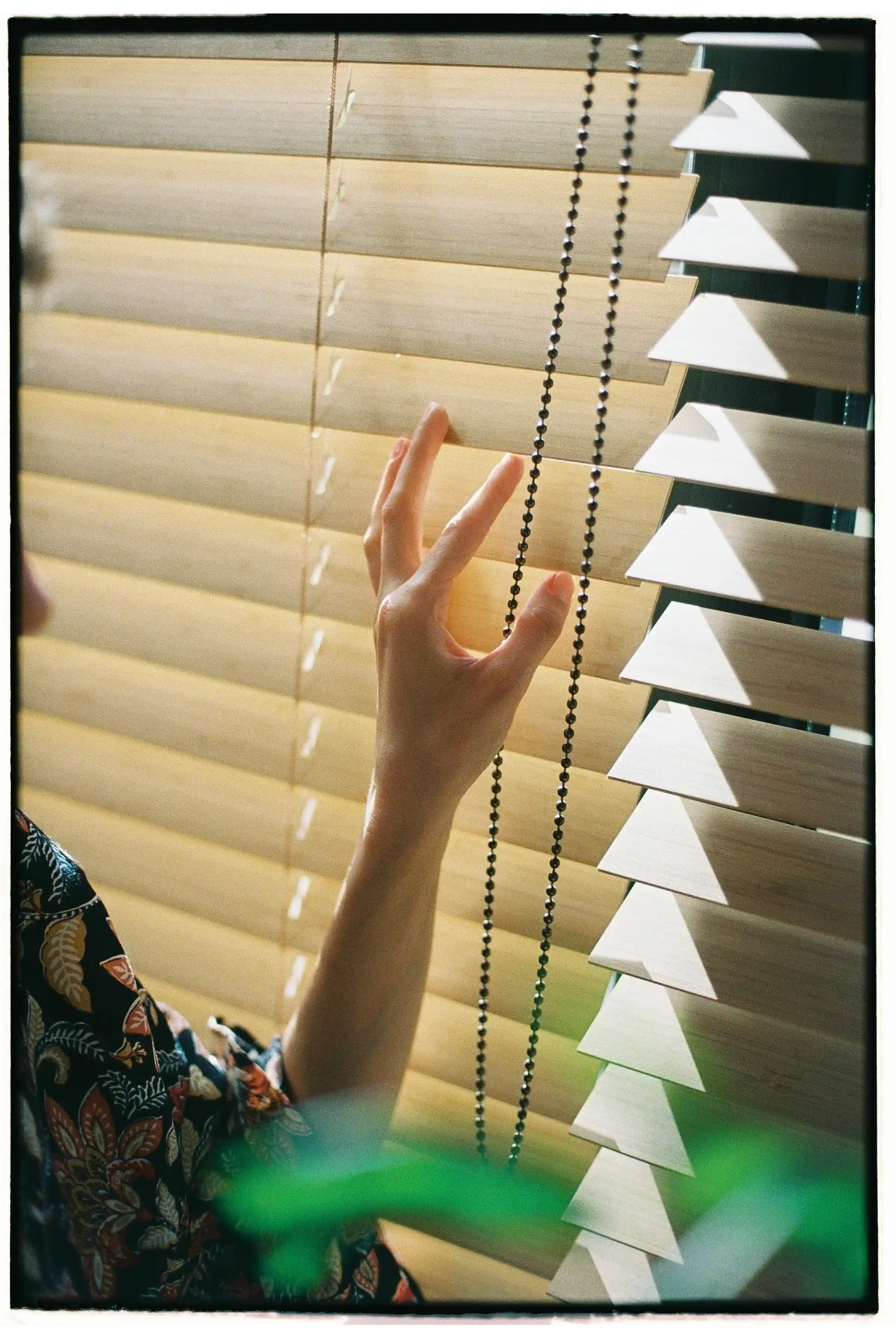 Blackout Blinds